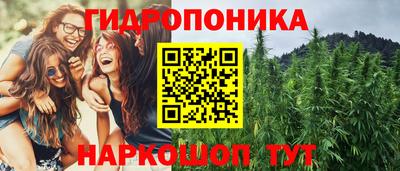 молекула духа Рыбинск