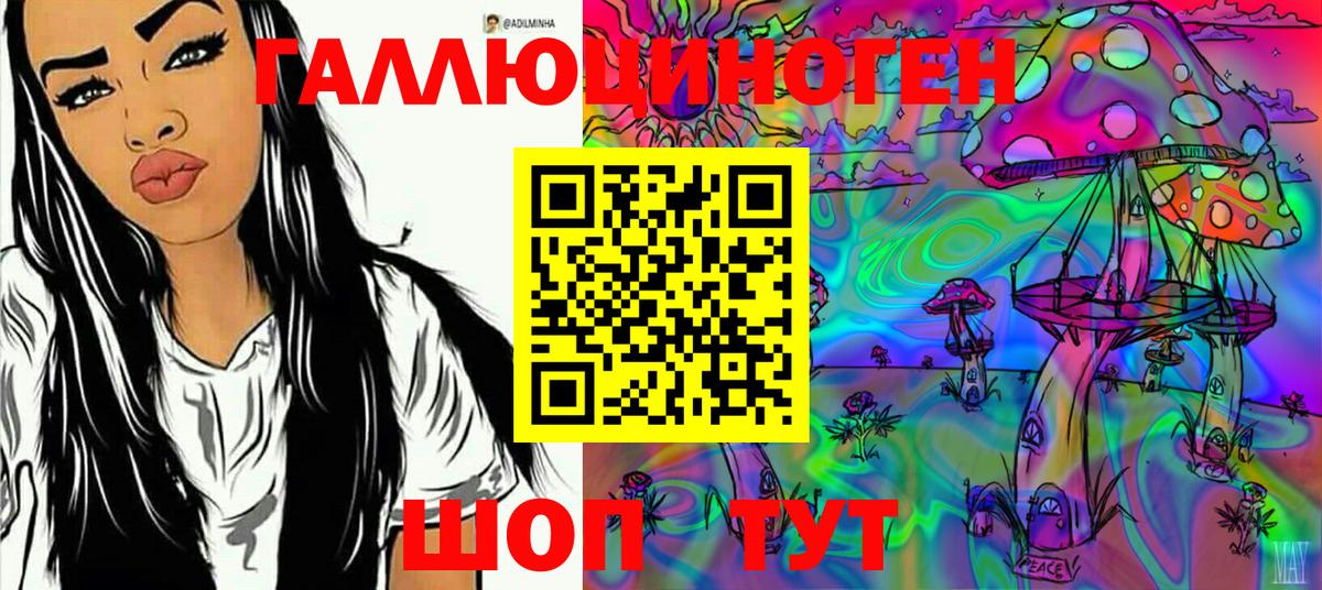 Северск  Галлюциногенные грибы Cubensis  Вход с VPN 